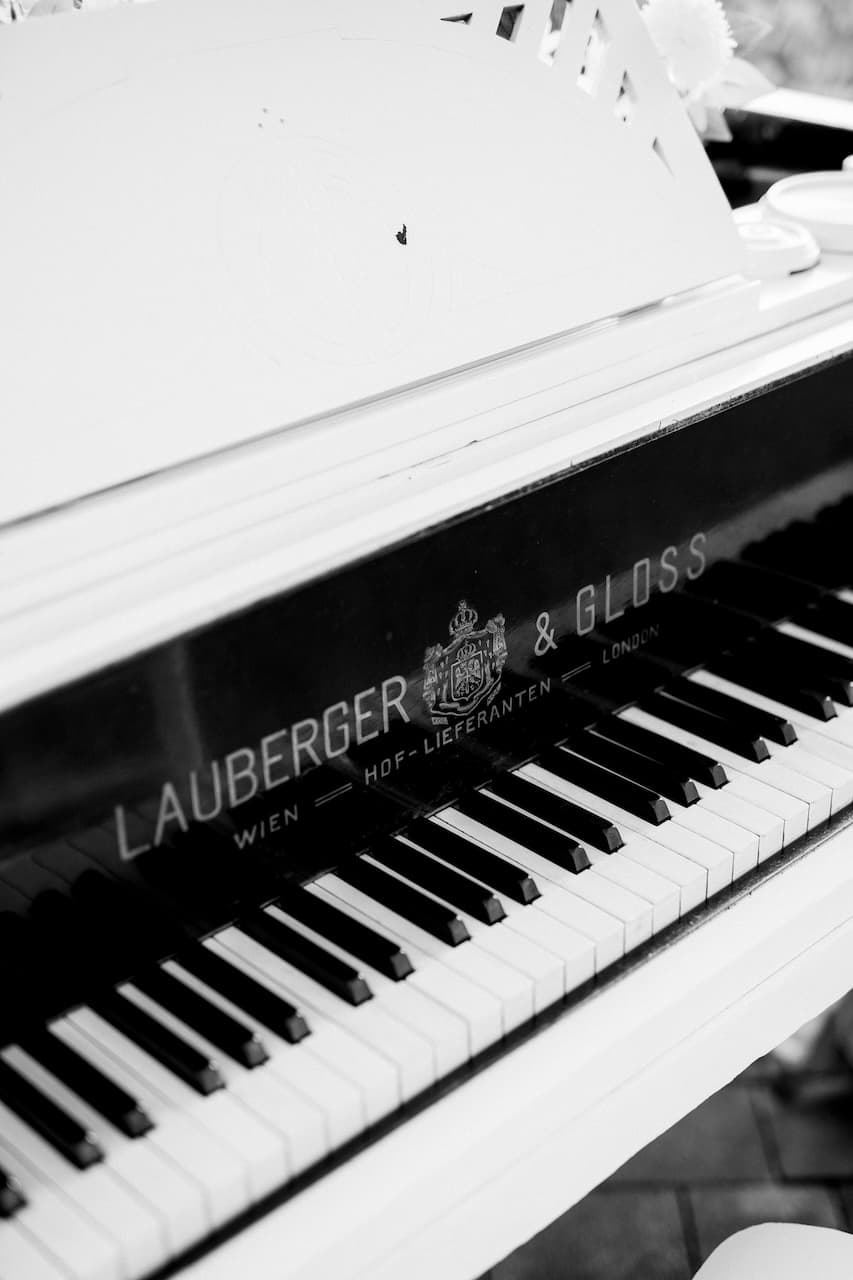stejaru00027